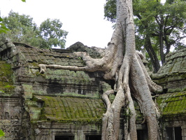 P1010313